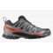 Кроссовки XA PRO 3D V9 GTX Salomon, цвет Turbulence/Black