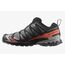 Кроссовки XA PRO 3D V9 GTX Salomon, цвет Turbulence/Black